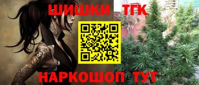 каннабис Новозыбков